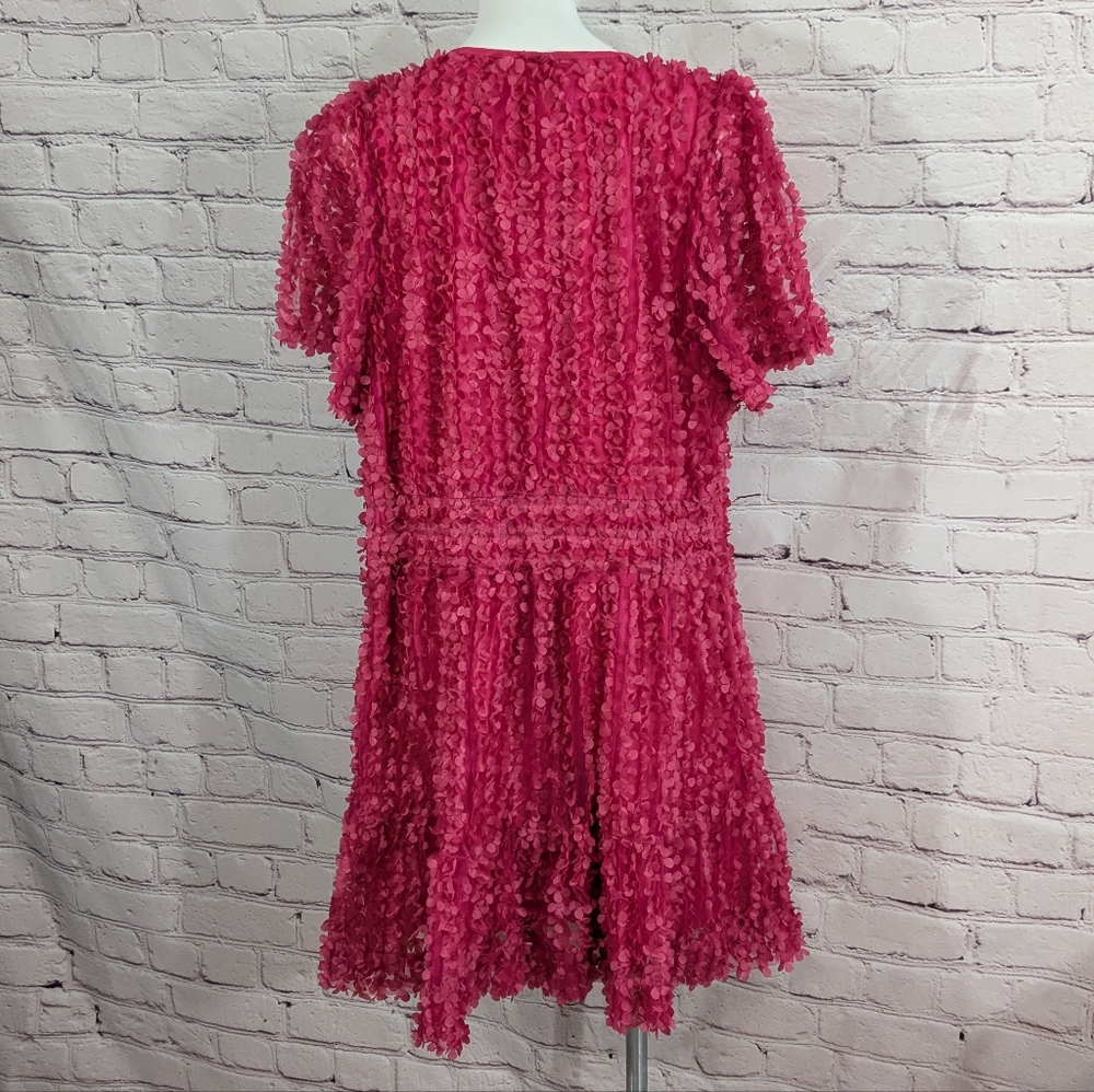 anthroplogie | The Somerset Mini Dress: Floral Appliqué Edition - Picture 6 of 10